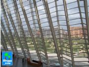 Museo de las ciencias Principe Felipe. Valencia, Comunidad Valenciana